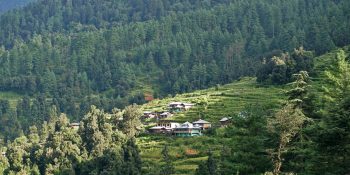 Sankri Homestay